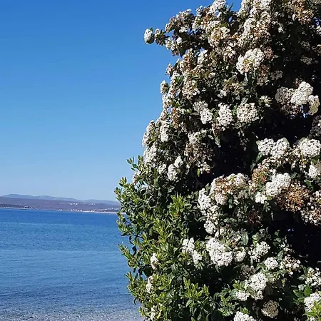 Apartment In 41041 Crikvenica